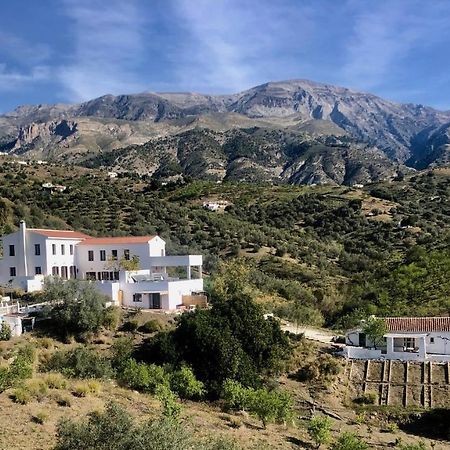 B&B And Apartments Cortijo La Zapatera Канильяс-де-Асеитуно Экстерьер фото