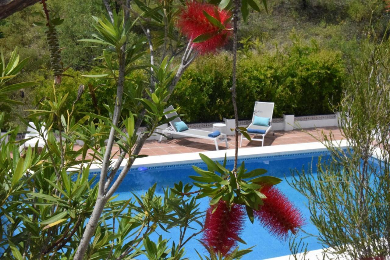 B&B And Apartments Cortijo La Zapatera Канильяс-де-Асеитуно Экстерьер фото